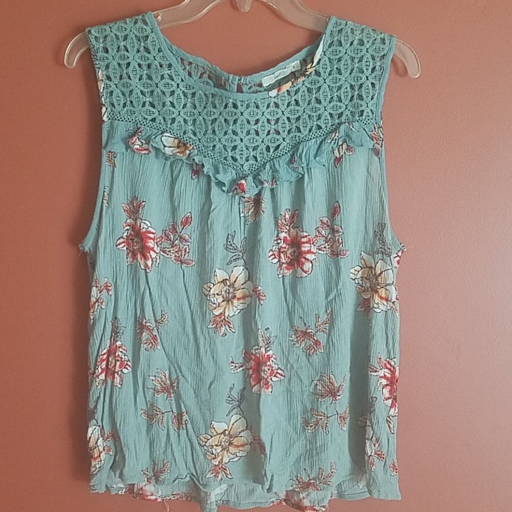 Hazel top